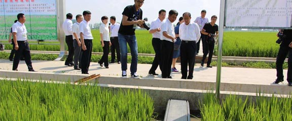 農業部副部長參觀我司產品